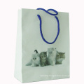 Paper Bag - Paper Shopping Bag Sw158